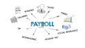 provide professional payroll management services