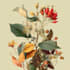do a botanical illustration art