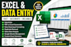 do expert data entry, data cleaning, and excel data analysis