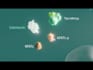 creat 3d medical animation