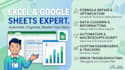be your professional excel and google sheets expert