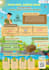 design professional powerpoint presentation and scientific poster