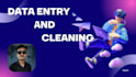 excel data entry and excel data cleaning data cleanup