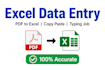 do excel data entry, PDF to excel, copy paste