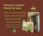 create canva social media posts