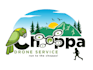 create a professional drone business logo design