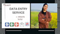 provide data entry service