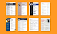 provide professional resume CV writing services