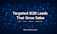 do verified b2b lead generation