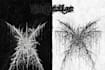 draw a hand drawn black metal logo