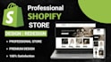 create a modern shopify website for your business