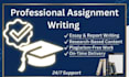 be your professional essay writer and assignment writer