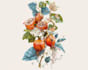 hand paint botanical illustrations