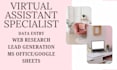 be your expert virtual assistant for data entry and web research