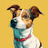 create a cartoon pet portrait from photo