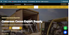 design a responsive business website