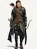 fantasy dnd character illustration