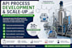 provide organic process development for apis and intermediates