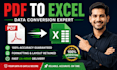 convert scanned PDF to excel or word professionally