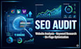 professional audit and on page SEO analysis