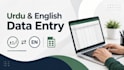 do urdu and english typing and data entry