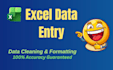 do microsoft excel data entry and data cleaning tasks