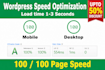 increase wordpress speed optimization