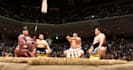 book sumo tournament tickets in japan