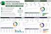 create professional excel dashboards and trackers
