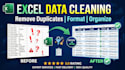 clean, format and organize excel data professionally