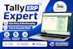 do tally erp and accounting work