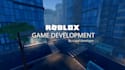 develop your roblox project from start to finish