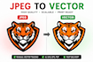 convert jpeg to clean vector