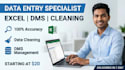 do professional data entry excel data cleaning and dms management