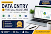 data entry web research and excel services
