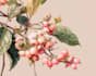 make a  watercolor flowers and botanical illustrations