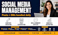 be your social media manager and reply to your dms daily