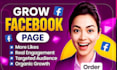 organically promote and monetize your facebook page
