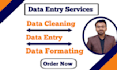 do data entry, data cleaning and data formating in ms excel