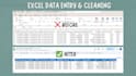 do expert data entry and data cleaning