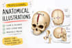 draw detailed medical illustrations