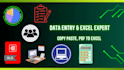 do perfect data entry, excel data entry, and copy paste work