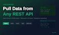 pull data from any API and deliver a clean excel or json file