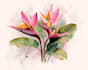 draw watercolor flowers and plants