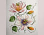 create a botanical illustration in the traditional  technique