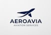 create professional aviation, airplane logo design