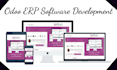 customize odoo modules, develop odoo erp and automate business tasks