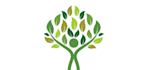 design modern awesome tree logo