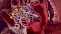 create professional biotechnology and scientific 3d animation