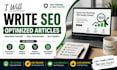 write SEO blog posts and articles